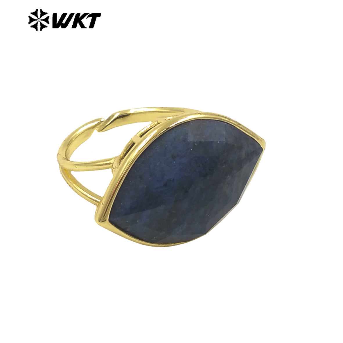 WT-R519 WKT New Design Charming Natural Flash Labradorite Stone Eye Gemstone Setting Ring for Women Party Wear Jewelry
