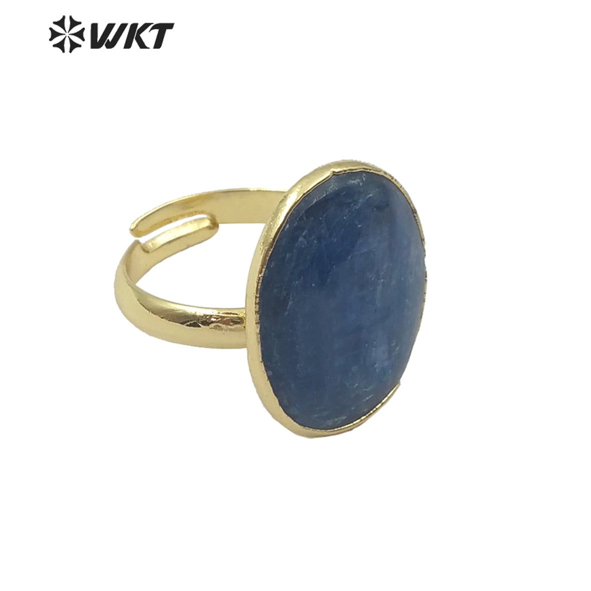 WT-R350 Natural Blue Kyanite Ring Popular Stone Ring in Adjustable Size Women Gorgeous Charm Jewelry Blue Kyanite Ring