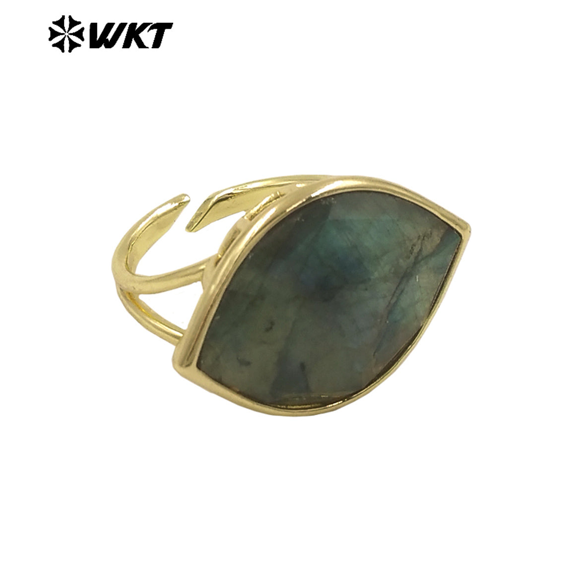 WT-R519 WKT New Design Charming Natural Flash Labradorite Stone Eye Gemstone Setting Ring for Women Party Wear Jewelry