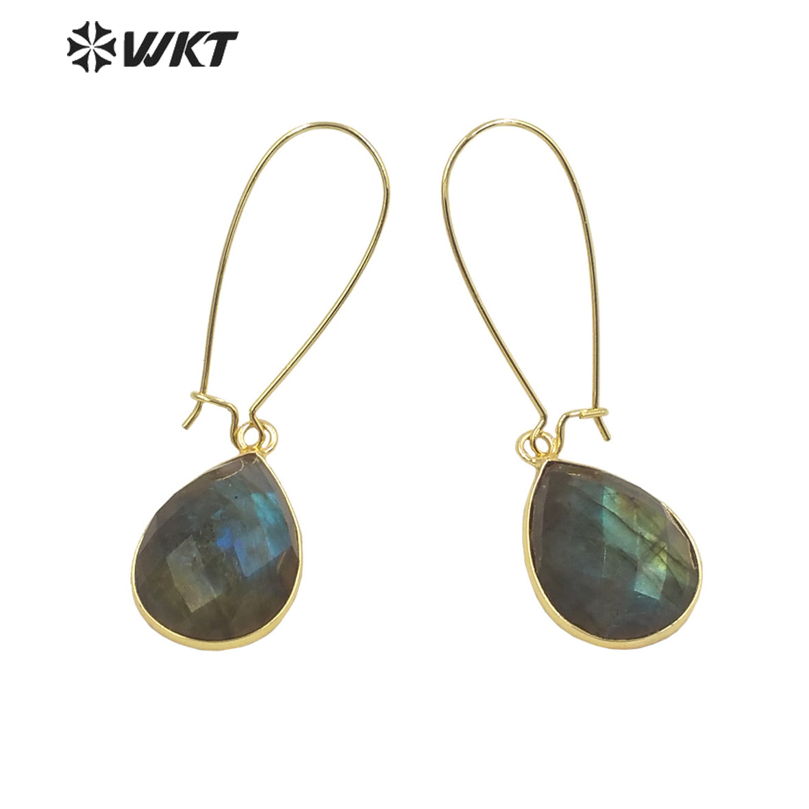 WT-E653 2021Jewelry Labradorite Earrings Pendants for Women Bohemian and Girls Fashion Earrings Beauty Value Is High for Women