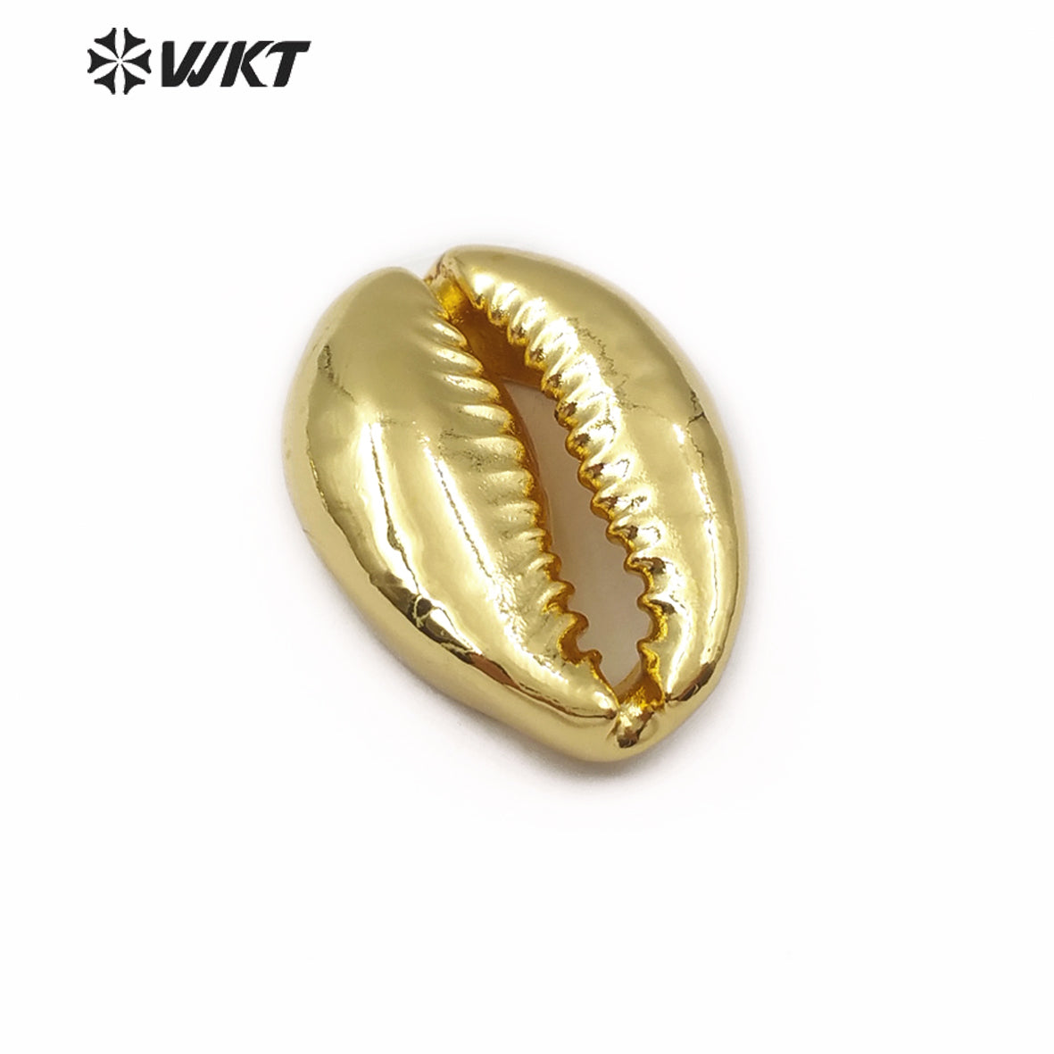 WT-JP057 Big Random Size Natural Sea Shell Wholesale Wild Coast Cowrie With Full Gold or Silver Dipped Women Jewelry Accessories