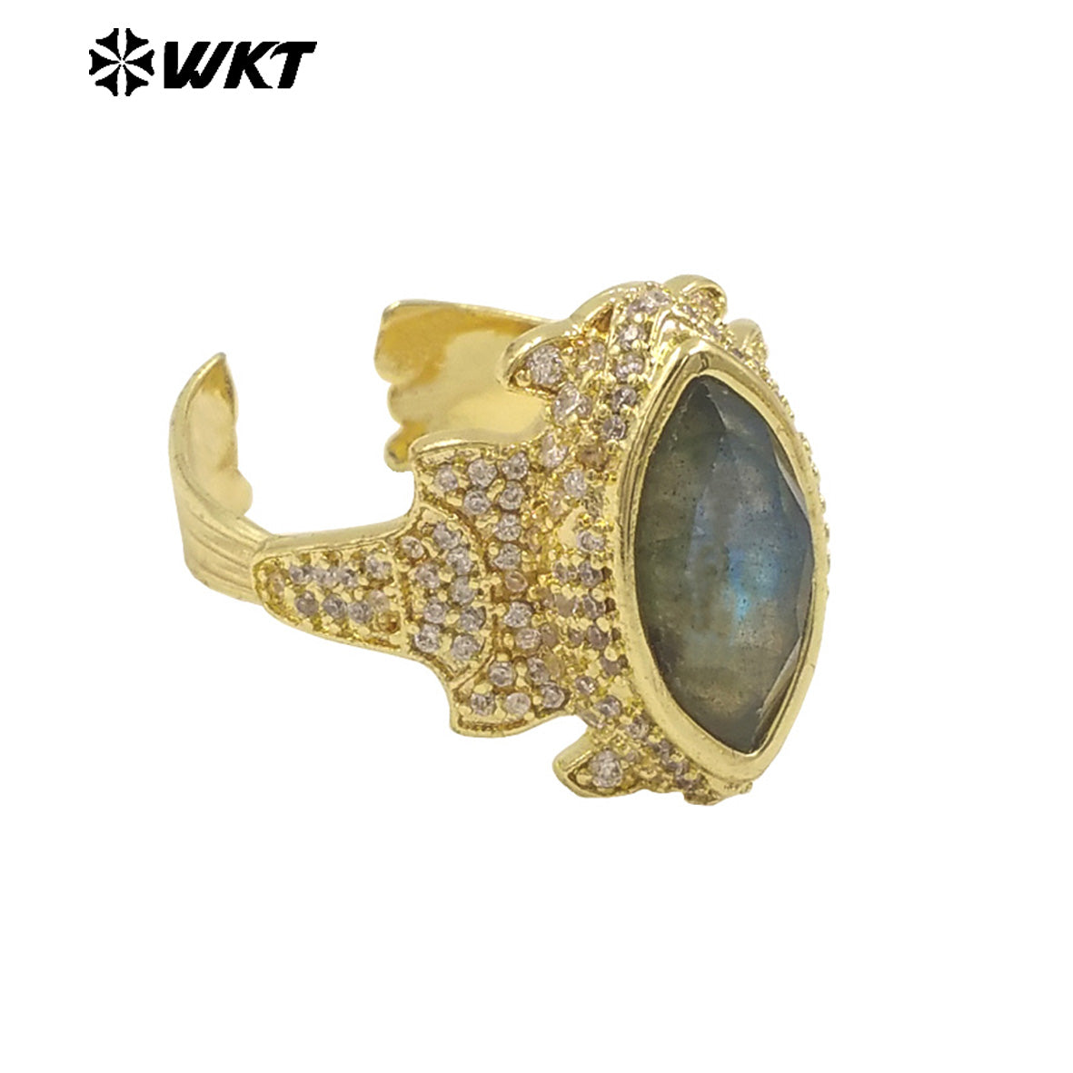 WT-MR034 Special Eye Shape Gemstone Multi Color Can Be Choose Amethyst Lapics Stone Ring for Banquet Party Fine ACC