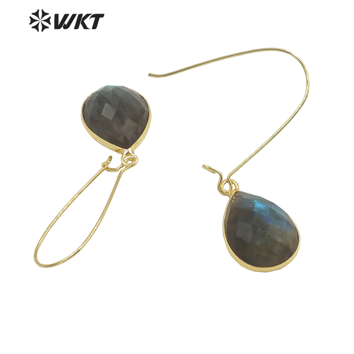 WT-E653 2021Jewelry Labradorite Earrings Pendants for Women Bohemian and Girls Fashion Earrings Beauty Value Is High for Women