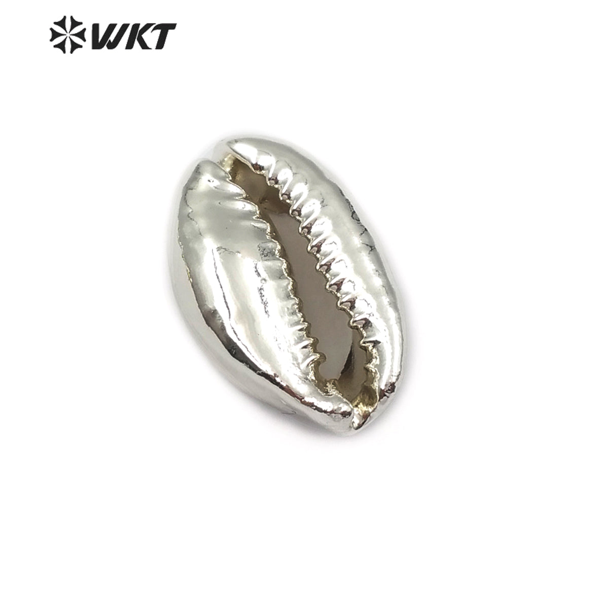 WT-JP057 Big Random Size Natural Sea Shell Wholesale Wild Coast Cowrie With Full Gold or Silver Dipped Women Jewelry Accessories