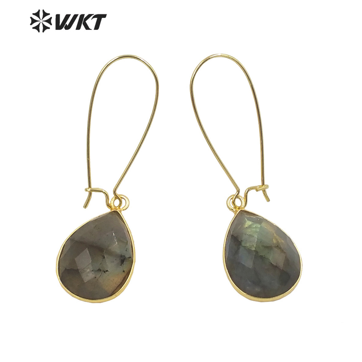 WT-E653 2021Jewelry Labradorite Earrings Pendants for Women Bohemian and Girls Fashion Earrings Beauty Value Is High for Women