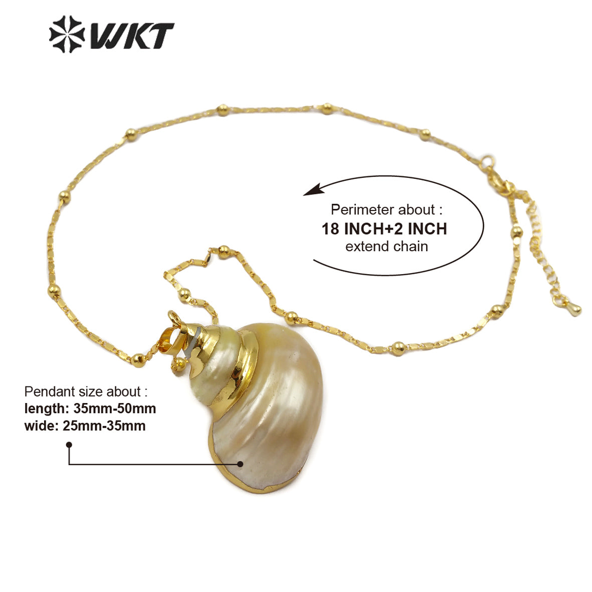 WT-JN075 Women Sea Shell Jewelry Natural Conch Shell Pendant With Gold Electroplated Random Size Trumpet Shell Necklace