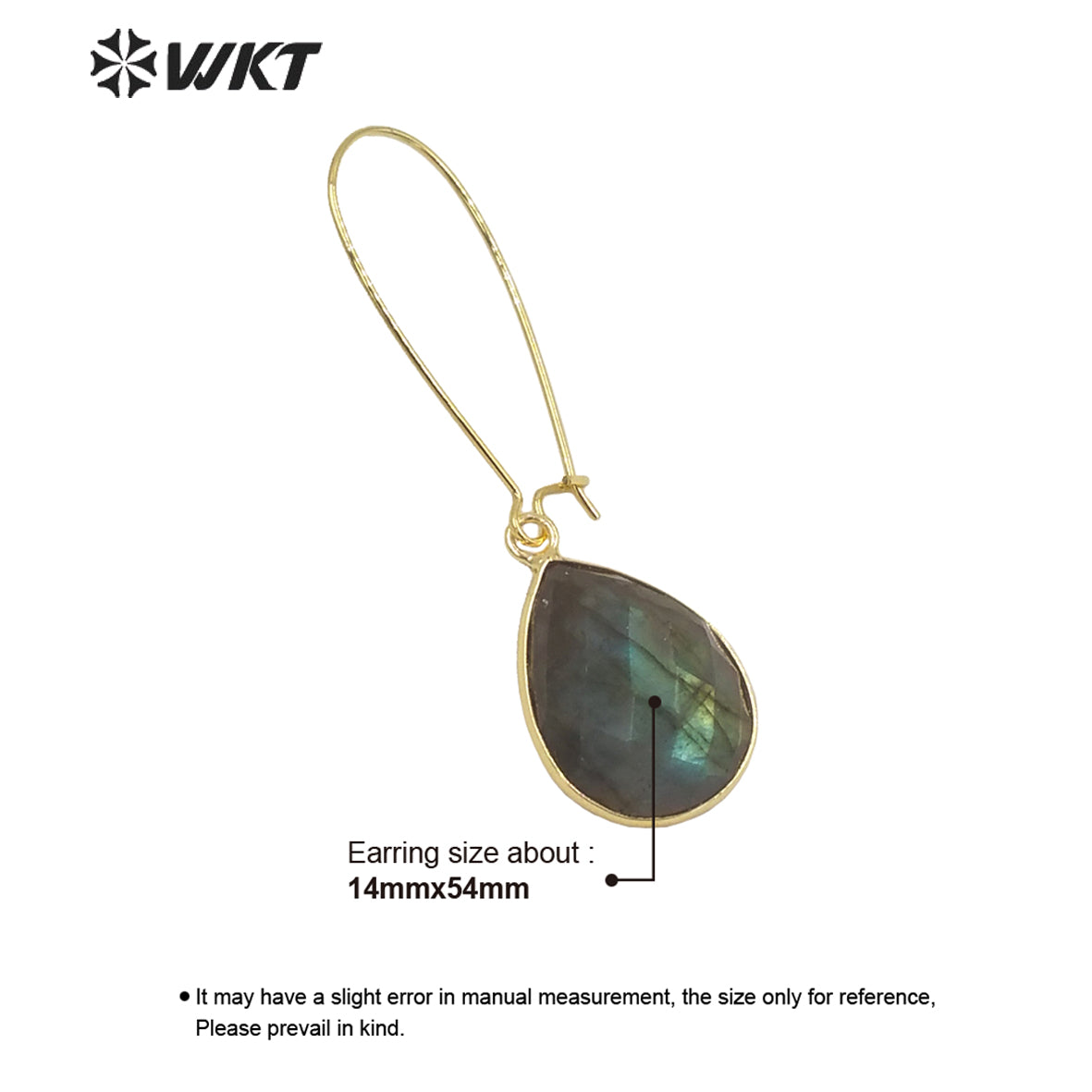 WT-E653 2021Jewelry Labradorite Earrings Pendants for Women Bohemian and Girls Fashion Earrings Beauty Value Is High for Women