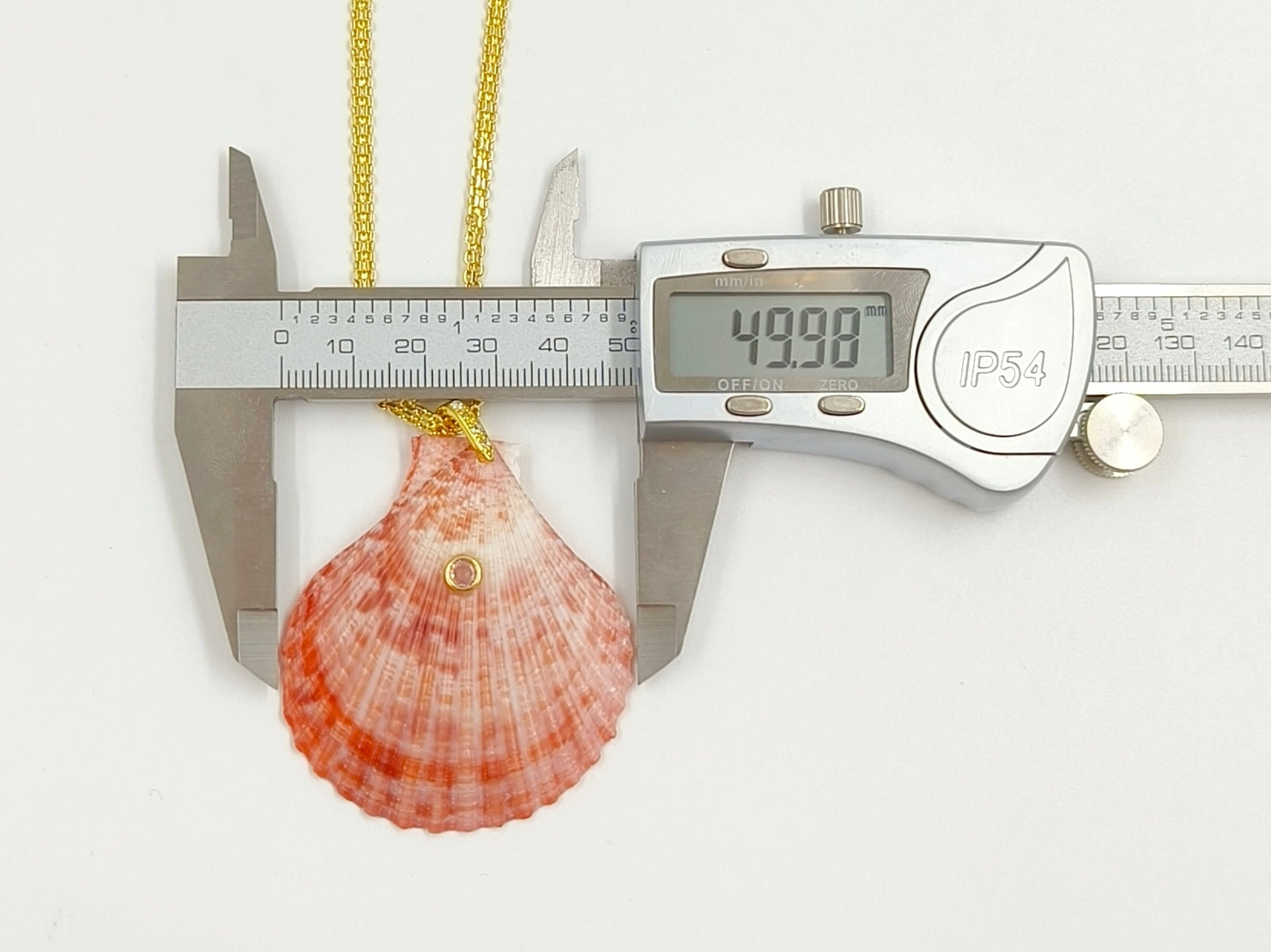 WT-JN396 Beautiful Popular Zircon And Natural Colors Scallop Shell Pendants Necklaces For Women Summer Beach Matching Accessory