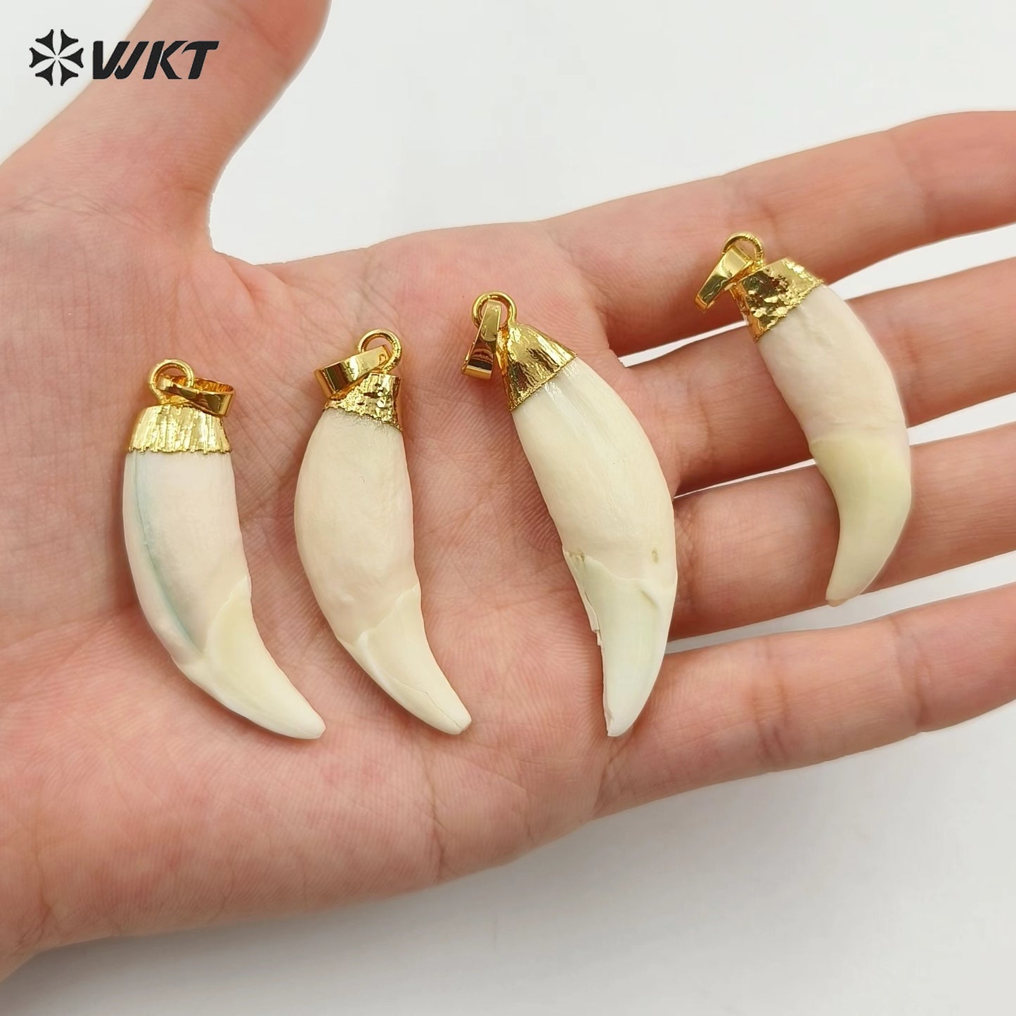 WT-P241 WKT Wholesale Artificial Tooth Pendants with Gold Color Cap Amazing Raw Horn Bone Pendants for Jewelry Making
