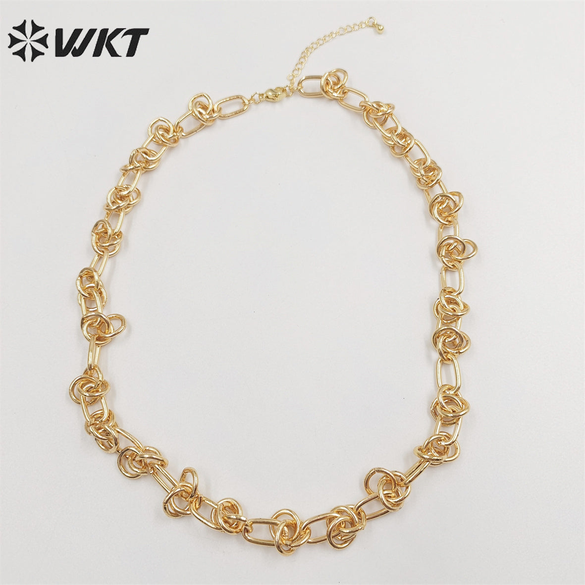 WT-BFN043 Wholesale 18k Real Gold Plated Metal Knotted Chain Necklace Women Fashion Locomotive Necklace Unisex Chunky Jewelry