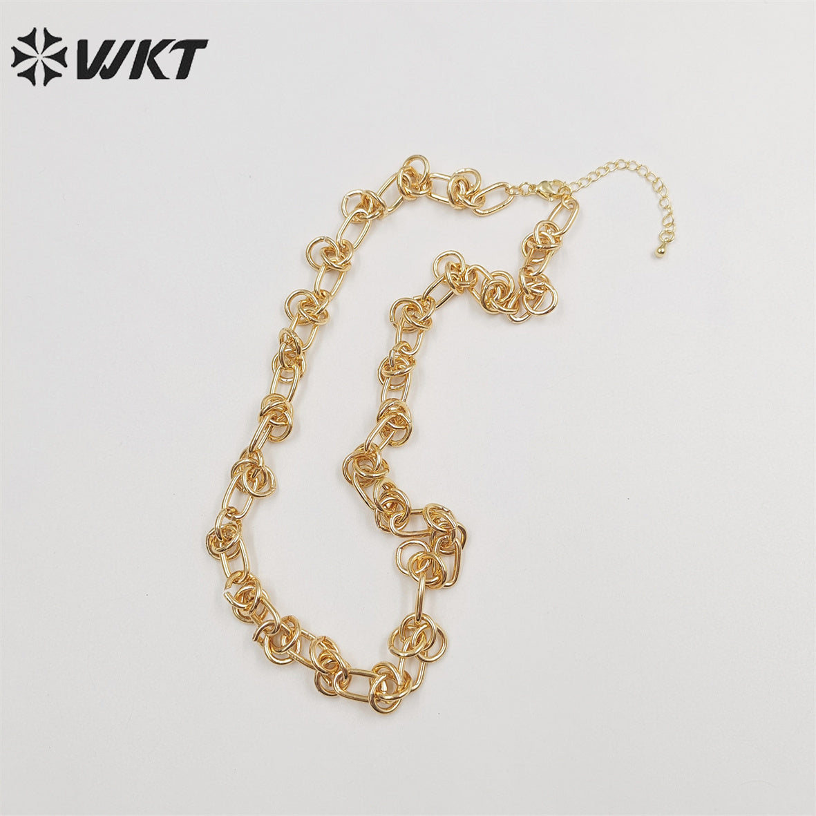WT-BFN043 Wholesale 18k Real Gold Plated Metal Knotted Chain Necklace Women Fashion Locomotive Necklace Unisex Chunky Jewelry