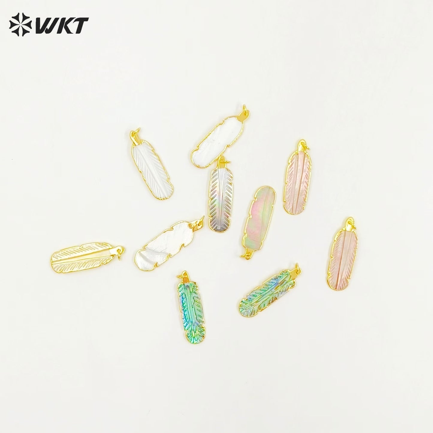 WT-P1242 WKT Wholesale New Coming Fashion Abalone Shell Pendant Feather Shape Gorgeous Shell Pendant