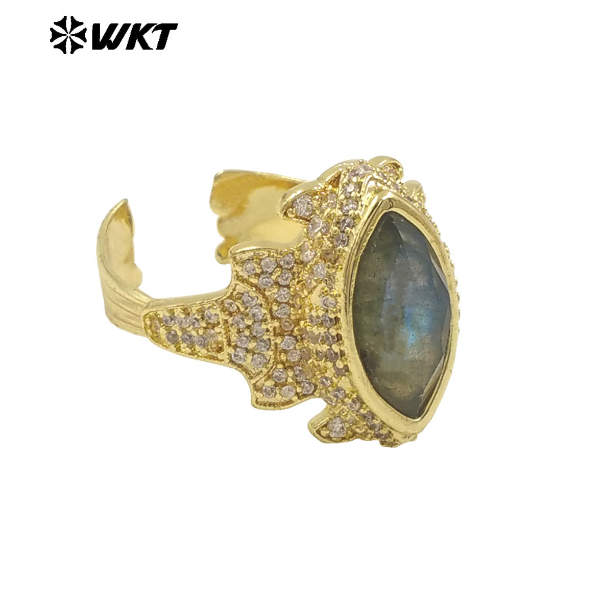 WT-MR034 Special Eye Shape Gemstone Multi Color Can Be Choose Amethyst Lapics Stone Ring for Banquet Party Fine ACC