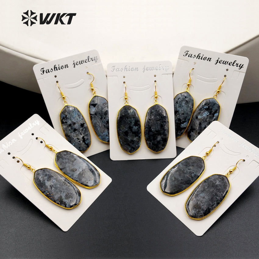 WT-E349 Wholesale New Arrival Special Black Labradorite Stone Earrings Generous Fashion for Mother Best Friends Gift