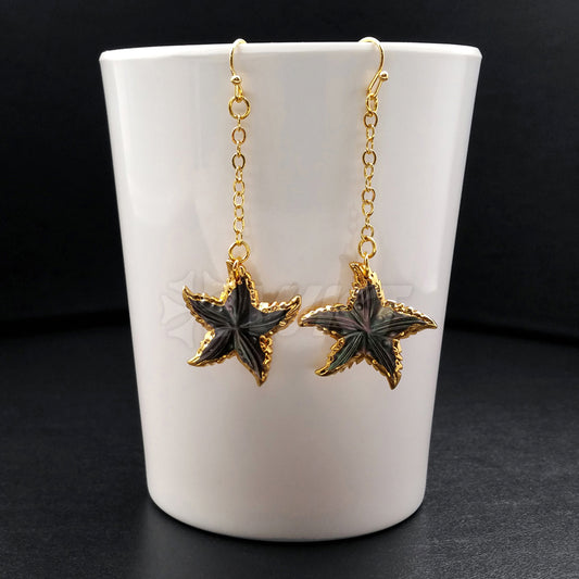 WT-E347 Wholesale New Arrival Fashion Hand Carved Sea Shell Star Earrings Women Gold Trim Dangle Charm Pendant Earrings