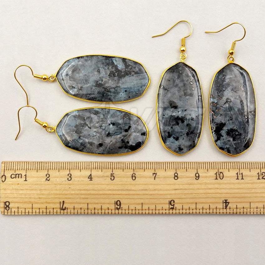 WT-E349 Wholesale New Arrival Special Black Labradorite Stone Earrings Generous Fashion for Mother Best Friends Gift