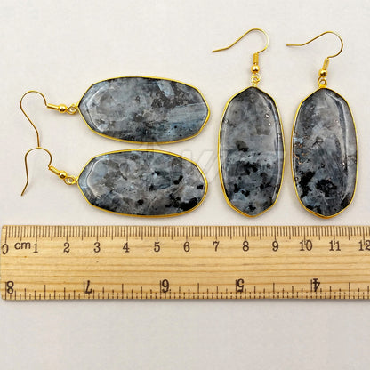 WT-E349 Wholesale New Arrival Special Black Labradorite Stone Earrings Generous Fashion for Mother Best Friends Gift