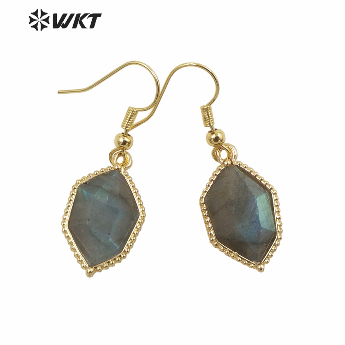 WT-E741 Amazing Colorful Elegant Natural Cat Eye Stone Hexagon Shaped Long Charming in Drop Earrings Women Pendant Earrings