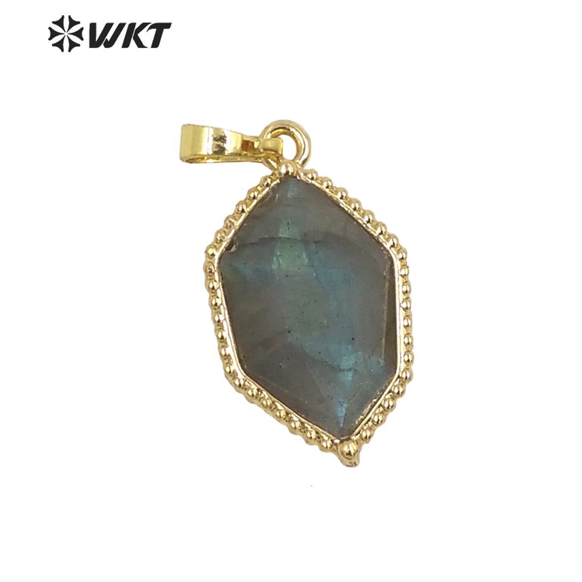 WT-P1938 Wholesale Hot Sale Fashion Design Natural Gemstone High Quality for Necklace Round Shaped Pendant