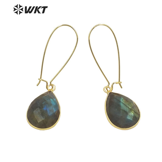 WT-E653 2021Jewelry Labradorite Earrings Pendants for Women Bohemian and Girls Fashion Earrings Beauty Value Is High for Women