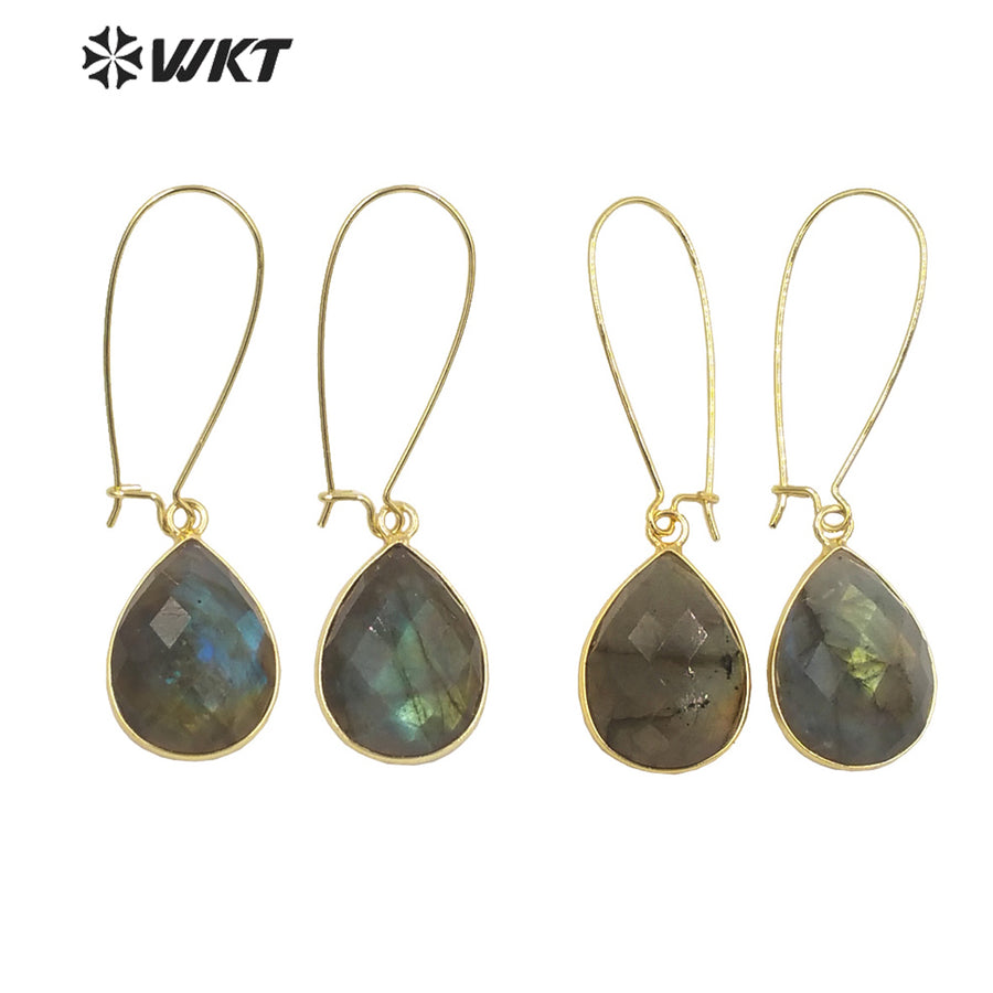 WT-E653 2021Jewelry Labradorite Earrings Pendants for Women Bohemian and Girls Fashion Earrings Beauty Value Is High for Women
