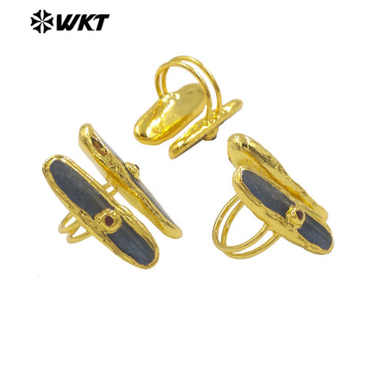 WT-R555 New in 2024 Unique High Quality 18K Gold Plated Blue Kyanite Adjustable Long Ring Jewelry for Women As Daily Accessory