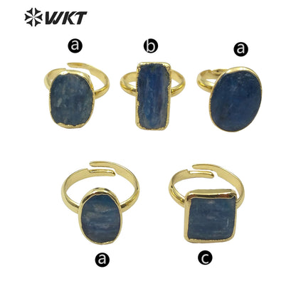 WT-R350 Natural Blue Kyanite Ring Popular Stone Ring in Adjustable Size Women Gorgeous Charm Jewelry Blue Kyanite Ring