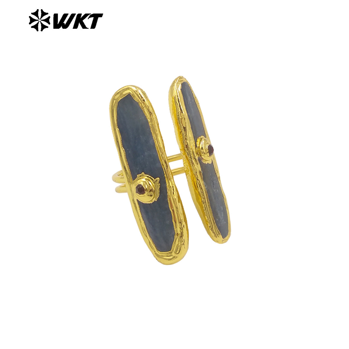 WT-R555 New in 2024 Unique High Quality 18K Gold Plated Blue Kyanite Adjustable Long Ring Jewelry for Women As Daily Accessory