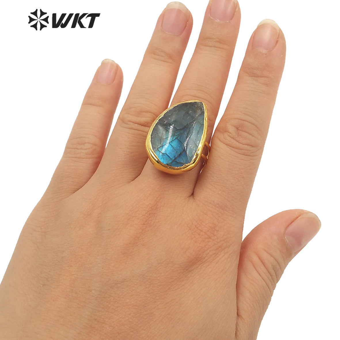 WT-R386 WKT 2022 New Style Natural Labradorite Ring Oval Shape Waterdrop Shape Noble Ring Natural Gemstone Ring for Girls Gift