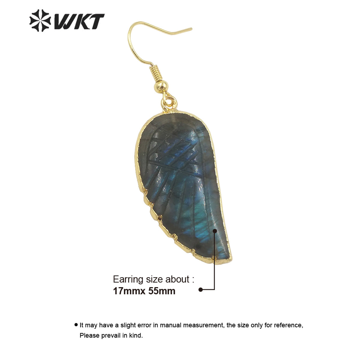 WT-E738 Amazing Colorful Elegant Fluorite/Labradorite Long Charming in Leaf Shaped Earrings Women Pendant Earrings