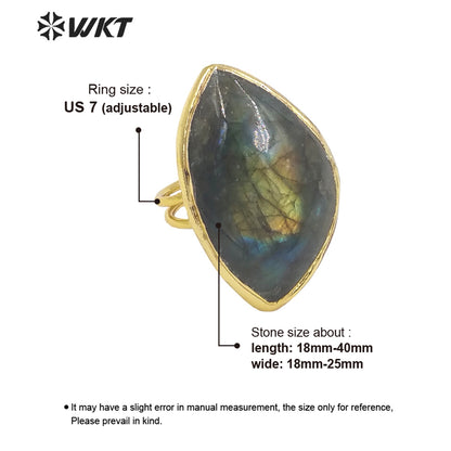 WT-R386 WKT 2022 New Style Natural Labradorite Ring Oval Shape Waterdrop Shape Noble Ring Natural Gemstone Ring for Girls Gift