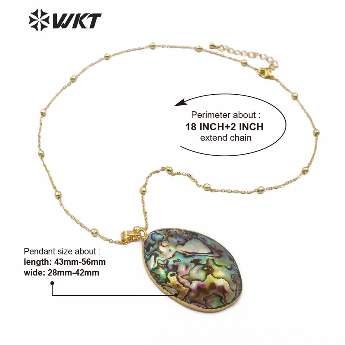 WT-JN080 Wholesale Irregular Oval Pendant With Random Size for Woman Jewelry Shell Pendant Natural Abalone Shell Necklace
