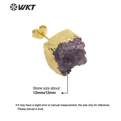 WT-E652 New Arrival Earrings Studs Wholesale Amethyst Stone Beautiful and Elegant Fashion Earrings for Lady As Luxury Gift