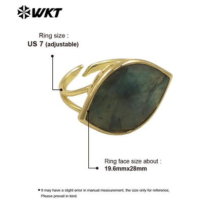WT-R519 WKT New Design Charming Natural Flash Labradorite Stone Eye Gemstone Setting Ring for Women Party Wear Jewelry