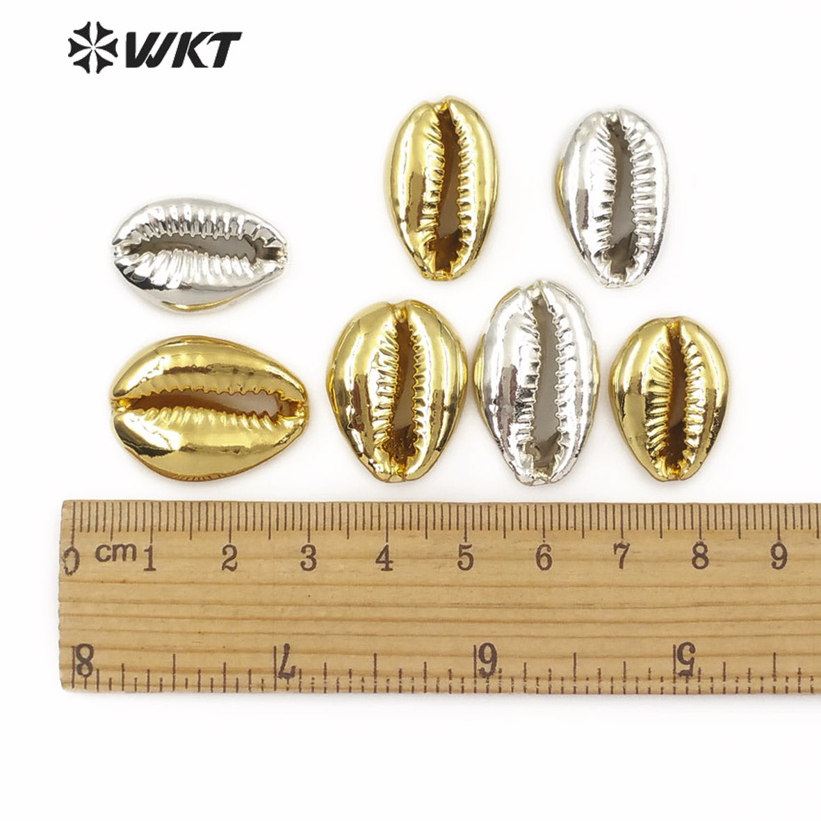 WT-JP057 Big Random Size Natural Sea Shell Wholesale Wild Coast Cowrie With Full Gold or Silver Dipped Women Jewelry Accessories