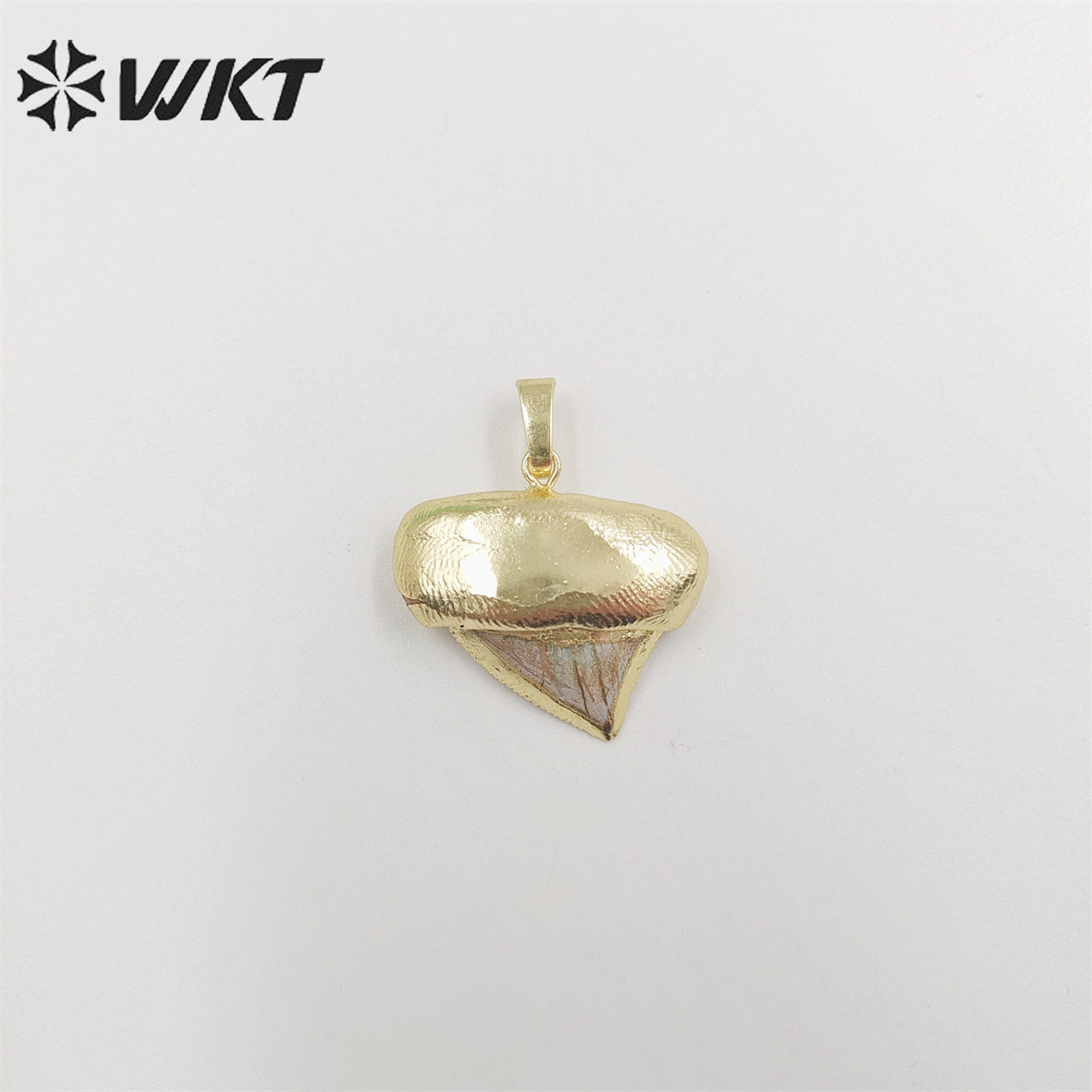 WT-P1854 Amazing Gold Plated Natural Shark Teeth Pendants Unique Fashion Tooth Necklace Pendant Jewelry Friend Gift Specimen
