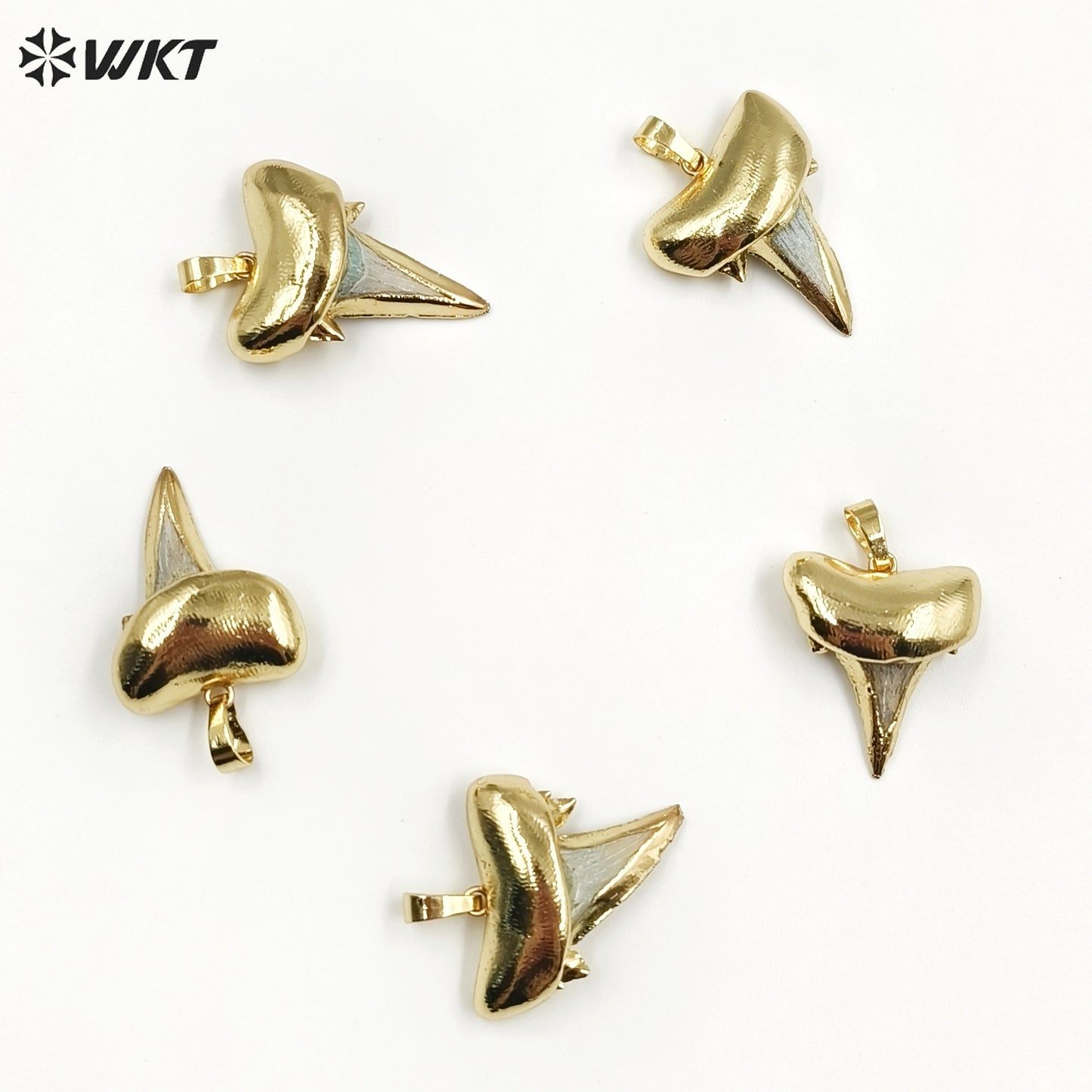 WT-P855 Newest Natural Real Specimen Tooth Accessories for Necklace Pendant,24k Gold Plated Real Pendant