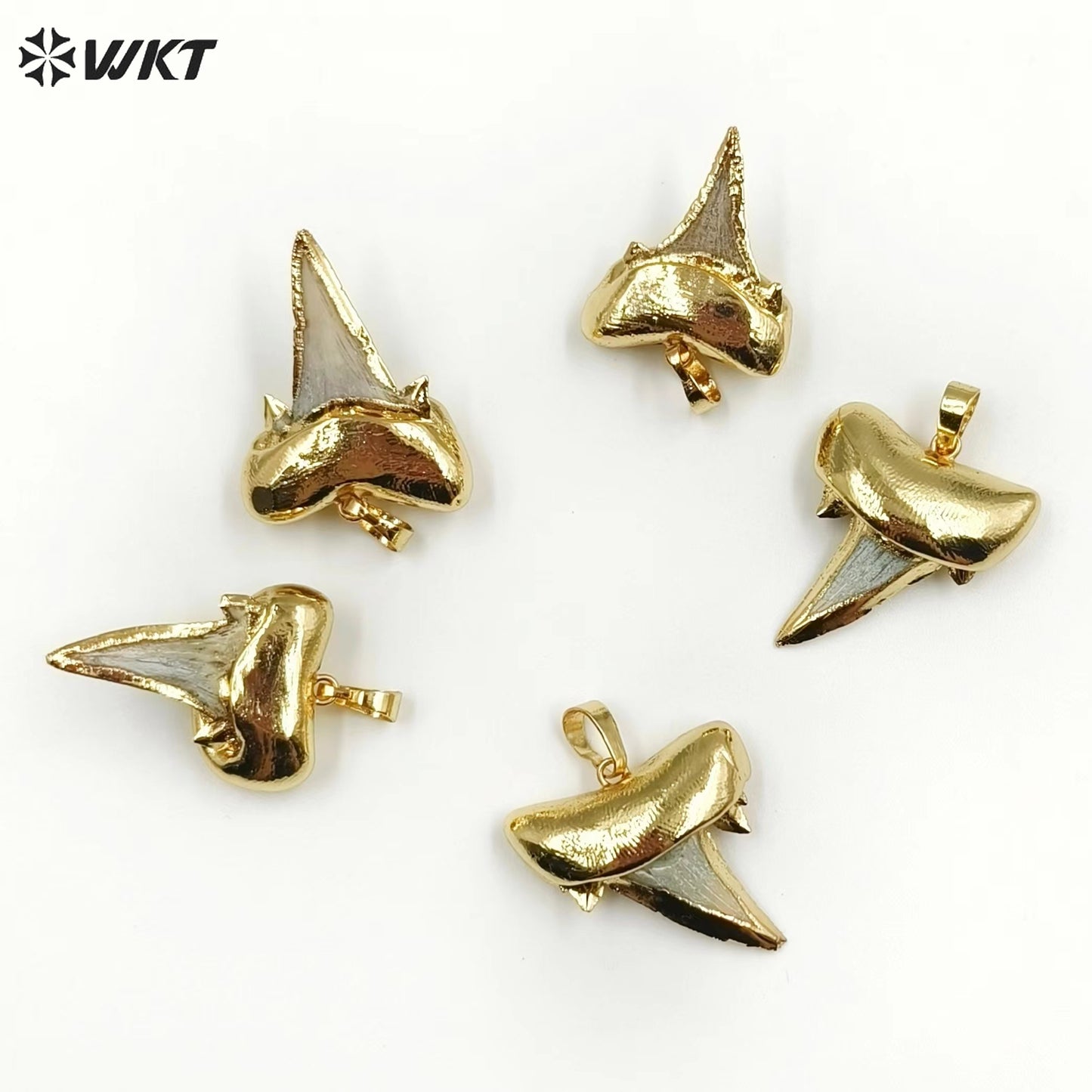WT-P855 Newest Natural Real Specimen Tooth Accessories for Necklace Pendant,24k Gold Plated Real Pendant