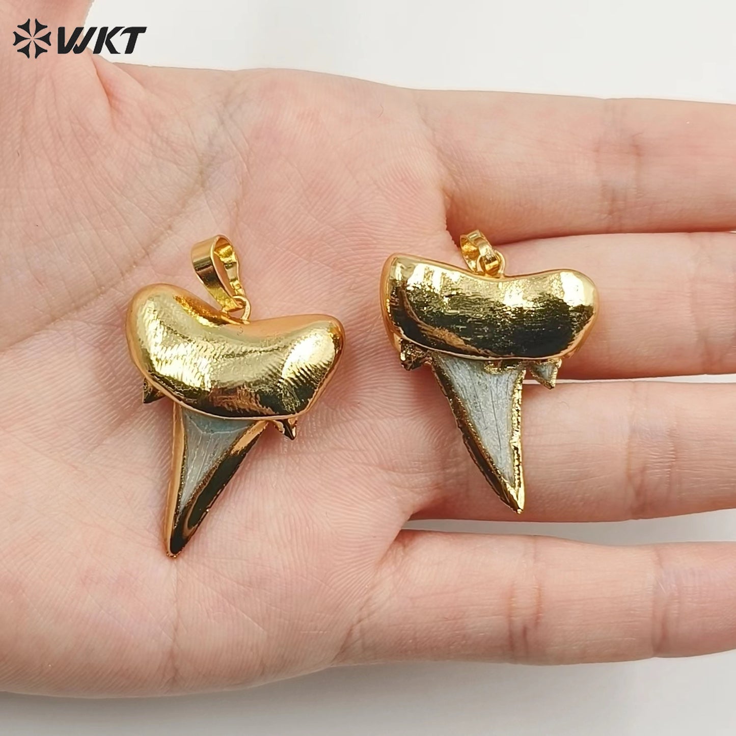 WT-P855 Newest Natural Real Specimen Tooth Accessories for Necklace Pendant,24k Gold Plated Real Pendant