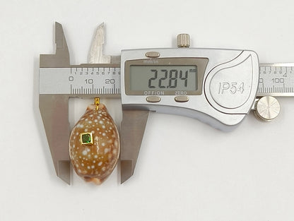WT-JP495 Unique Style First Snow Cowrie Shell And Colorful Zircon Gold Pendants As Female Handmade Necklace Bracelet Findings