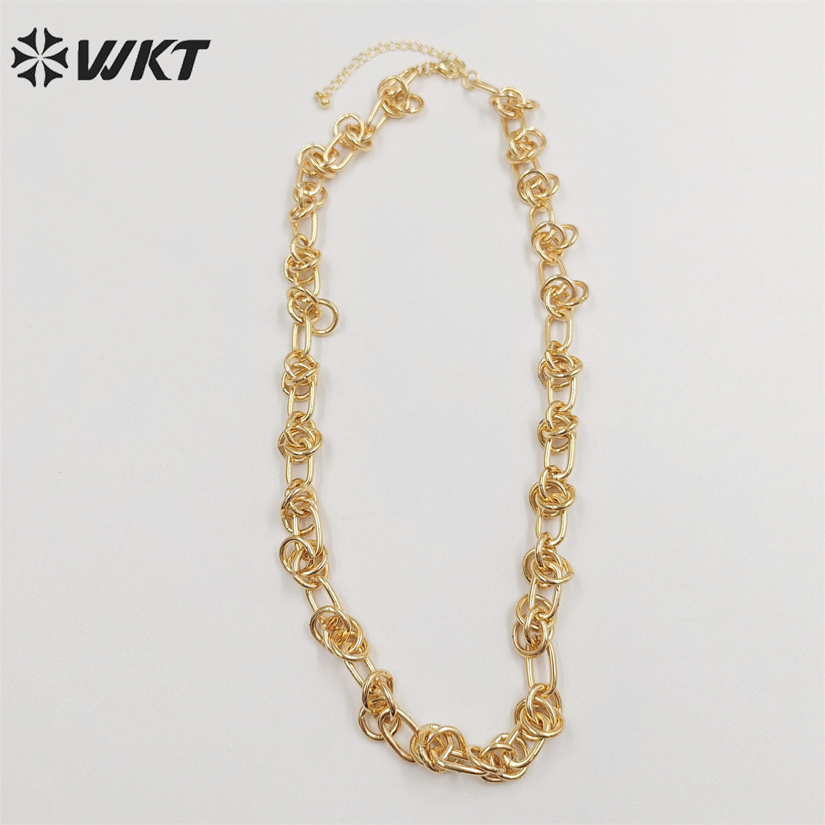 WT-BFN043 Wholesale 18k Real Gold Plated Metal Knotted Chain Necklace Women Fashion Locomotive Necklace Unisex Chunky Jewelry