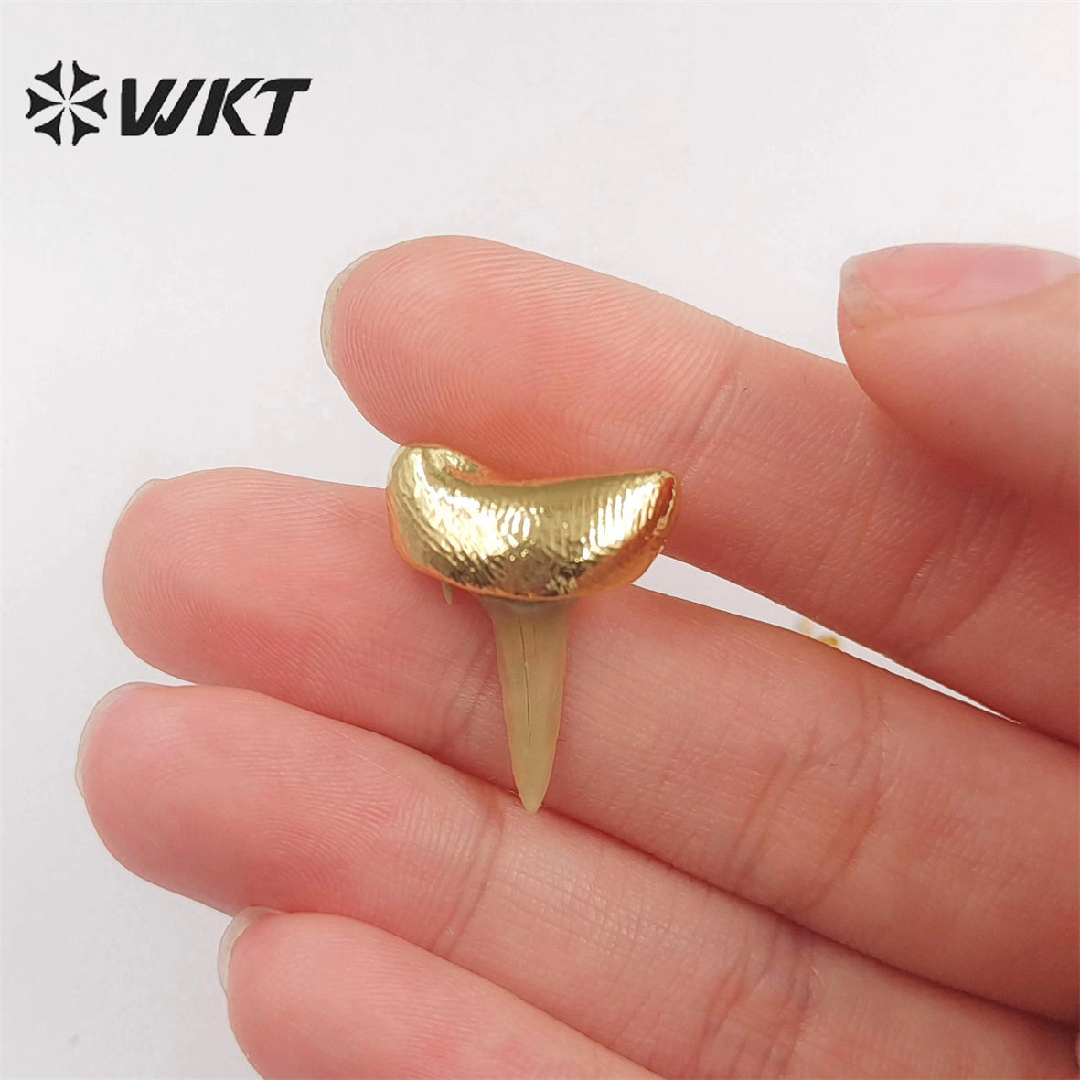 WT-E715 New Unique Specimen Tooth Earrings 18k Gold Plated Teeth Jewelry Studs for Women Gift Boho Style Teeth Earrings