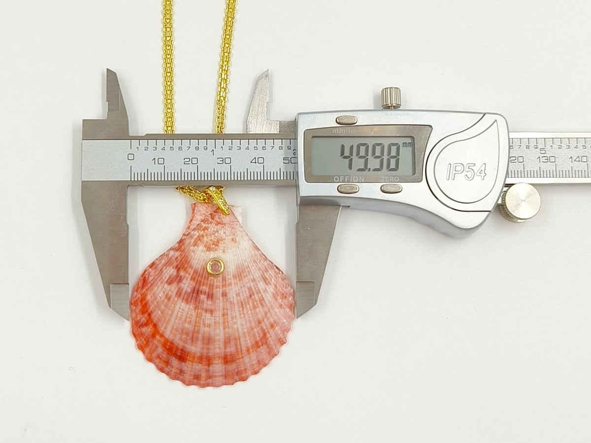 WT-JN396 Beautiful Popular Zircon And Natural Colors Scallop Shell Pendants Necklaces For Women Summer Beach Matching Accessory