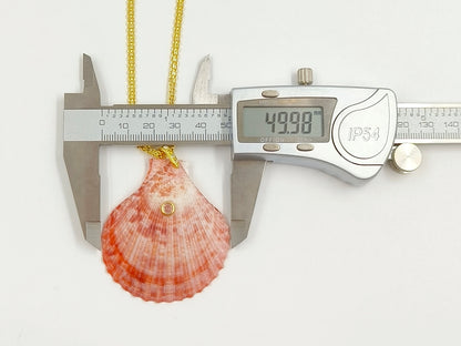 WT-JN396 Beautiful Popular Zircon And Natural Colors Scallop Shell Pendants Necklaces For Women Summer Beach Matching Accessory