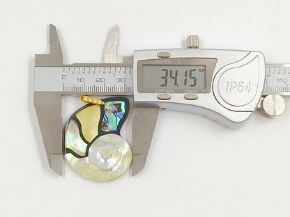 WT-JP467 Good Quality Delicate Various Natural Shells Splicing Conch Shape Pendants For Cute Necklaces Jewelry Design