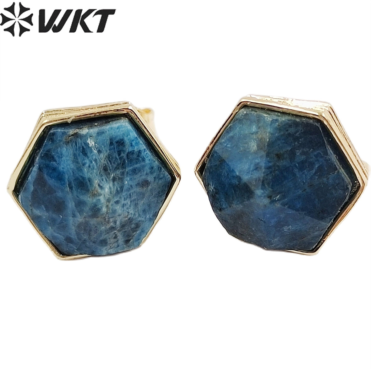 WKT-E700 Wholesale New Fashion Gold Bezel Hexagon Stone Studs Earrings Faceted Natural Labradorite Amethyst Studs for Friends