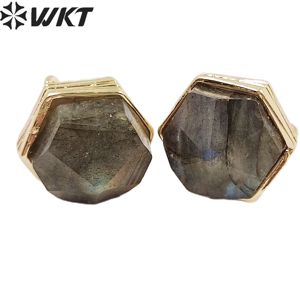 WKT-E700 Wholesale New Fashion Gold Bezel Hexagon Stone Studs Earrings Faceted Natural Labradorite Amethyst Studs for Friends