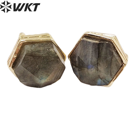 WKT-E700 Wholesale New Fashion Gold Bezel Hexagon Stone Studs Earrings Faceted Natural Labradorite Amethyst Studs for Friends